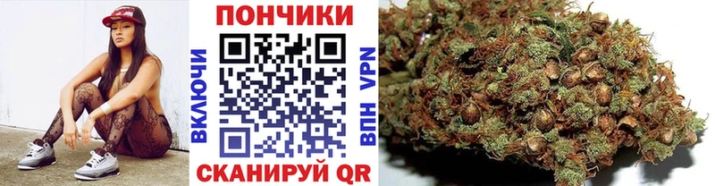 Марихуана план  Пятигорск 